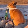 AC (El Corg) 的头像
