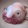 QUESTIONAD0R's profile picture