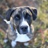 Laney profil fotoğrafı