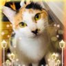 タニエール🗣 profil fotoğrafı