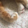 Peoneyg profil fotoğrafı