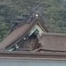 Profilbild von ライムグリーン