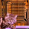 FleetingBits's profile picture