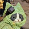 玖雨(Kuu)'s profile picture