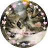 Profilbild von なちゅNPe👼🏻🎀🤍