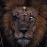 WOLKING👑🇸🇦 profil fotoğrafı