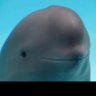 Reel Drift's profile picture