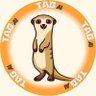 0xNought(瓜子)'s profile picture