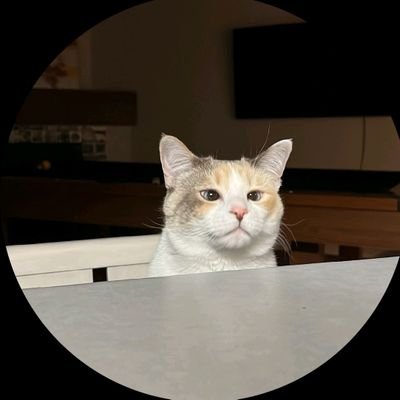 JYDLNKGXL's profile picture