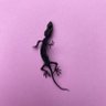 efukoefu's profile picture