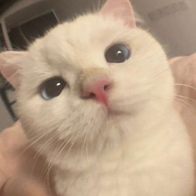 725_00b's profile picture