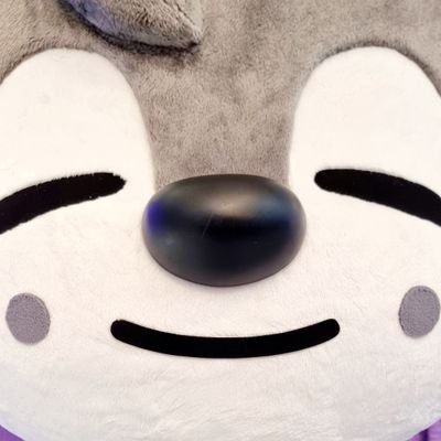 리테(•´ー`•)'s profile picture