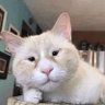 Profilbild von Billu bhai