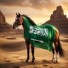 mohamed25's profile picture