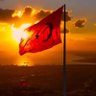Neyi Kaybettin Hatırla's profile picture