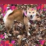 Deranged's profile picture