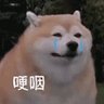 Фото профиля 曾泓銘