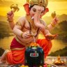 Фото профиля Kritagya Patel Verma