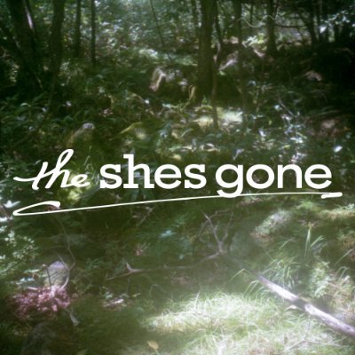 theshesgone's profile picture