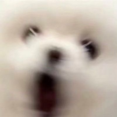 たいやき's profile picture