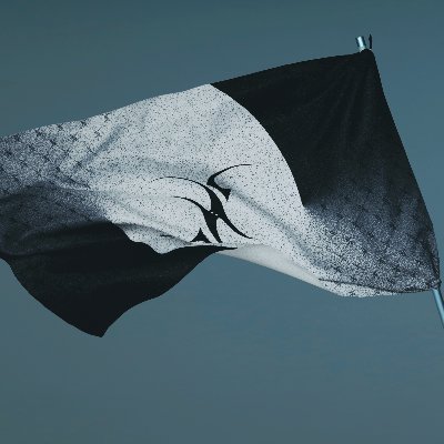 PassCodeオフィシャル's profile picture