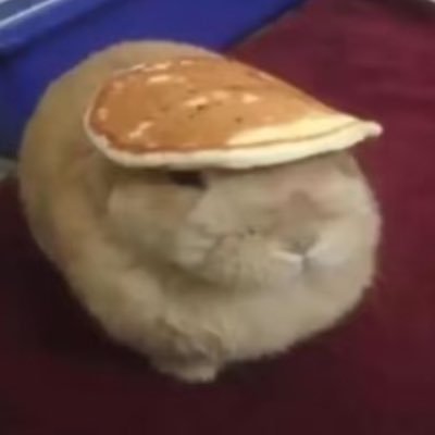 foti0008's profile picture
