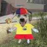 SillyGModDog profil fotoğrafı