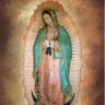 Фото профиля Our Lady of Guadalupe ourladyolg.sui