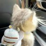 nn's profile picture