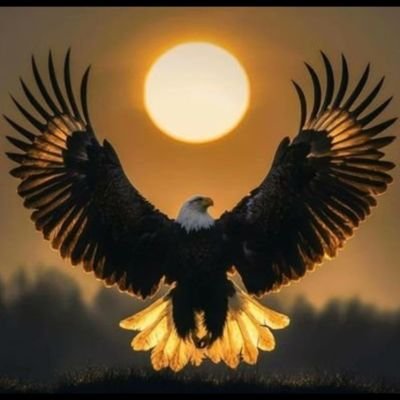 Fahad_Alali1960's profile picture