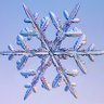 Фото профиля I Find Snowflakes on X