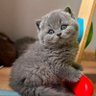 Lâle🇹🇷 profil fotoğrafı