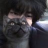 luca's profile picture