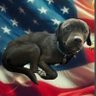 Rich-Marz's profile picture