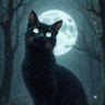 Gato Nocturno ็ๅคดๅ