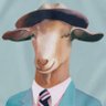 J R 9000🔺's profile picture