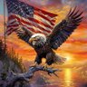 outlaw🔥🔫Dave🔫🔥🇺🇸🇺🇸🇺🇸 profil fotoğrafı