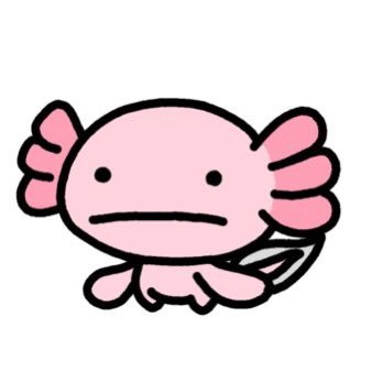 🎀ウーパーお嬢🎀's profile picture