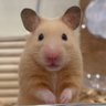 Profilbild von あや☺︎