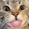 Profilbild von ae