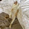 Barb profil fotoğrafı