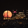 🇹🇷YA DEVLET BAŞA YA KUZGUN LEŞE 🇹🇷 的头像