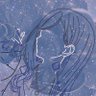 Фото профиля しあん