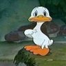 Mason Clary's profile picture