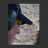 Pirx's profile picture