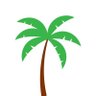 Фото профиля Palm Tree Pilot