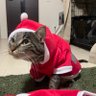 うにもん profil fotoğrafı