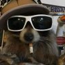 Profilbild von Jerro