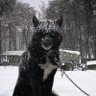 Noraa profil fotoğrafı