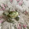 granpa_turtle profil fotoğrafı